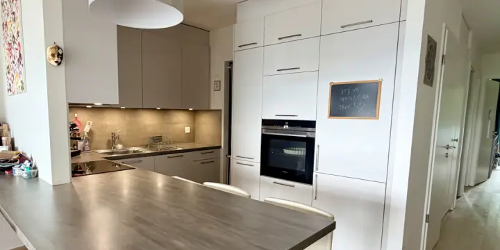 Appartement contemporain avec vue dominante sur Genève, dans un écrin de verdure