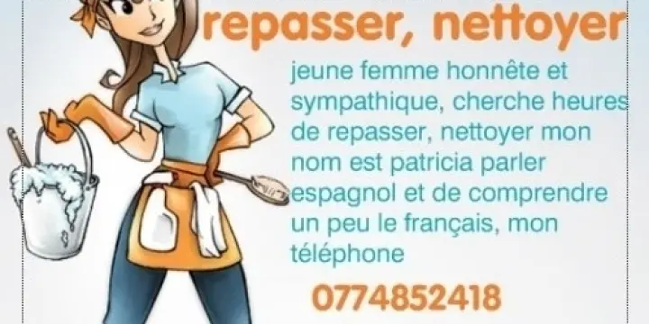 cherche heures de repasser, nettoyer