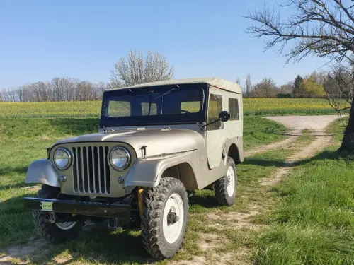 Jeep Willys Cj5