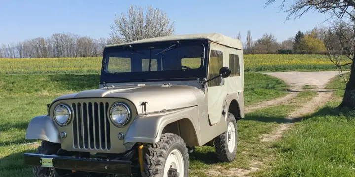 Jeep Willys Cj5