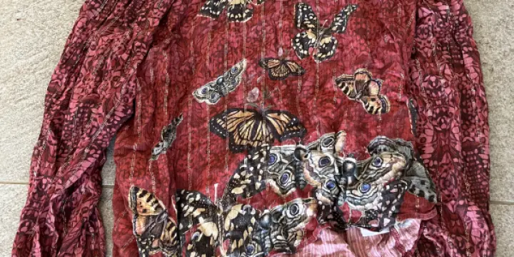 T-shirt manche longues Desigual L avec papillons