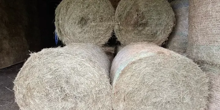 Balle ronde de foin pour chevaux, poids 333 kg