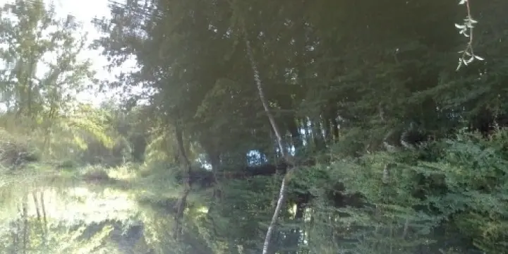 ferme265m2& 2 étangs/ 3,5hectares de ter