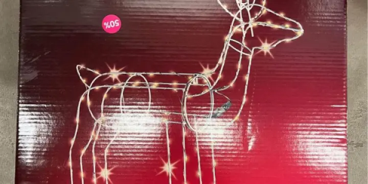 Rennes lumineux noel