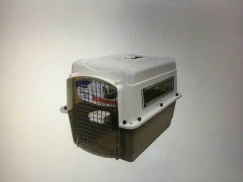 A vendre caisse transport chien à Cottens