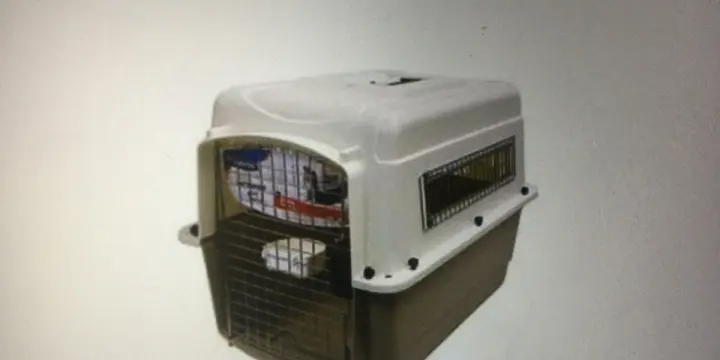 A vendre caisse transport chien