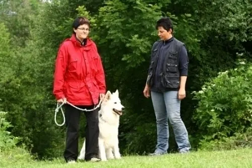 Education canine et cours obligatoires à Evilard