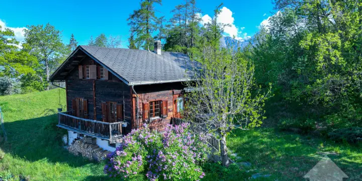 Chalet de 6.5 pièces en exclusivité