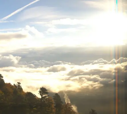 Séance de thérapie Reiki