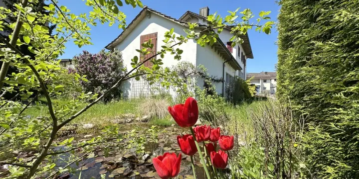Projektliegenschaft mit >300 m2 Wohnfläche, Werkstatt & Ladenlokal