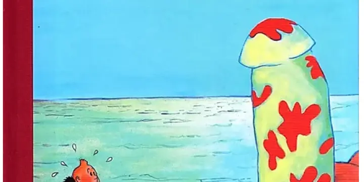 LA VIE SEXUELLE DE TINTIN par Jan Bucquoy