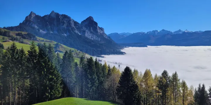 Erholung an zentraler Lage für JEDEN