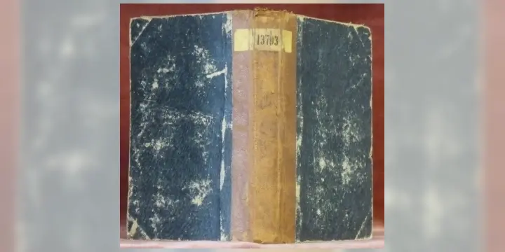Tagebuch einer Reise nach der Provence, Italien und Schweiz. Gesammelte Schriften 10. Bd.