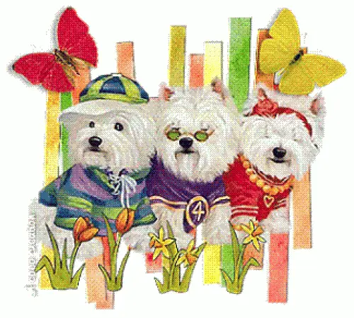 Boutique pour chiens branchés à Port Valais