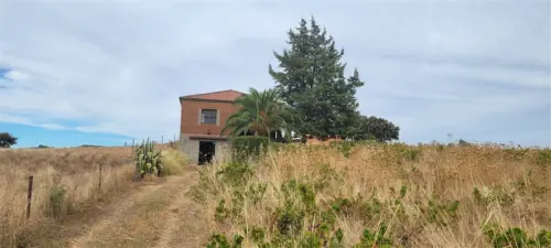 Espagne/EXtremadura/Vignoble de 1000 pieds/159.000€ à Trujillo