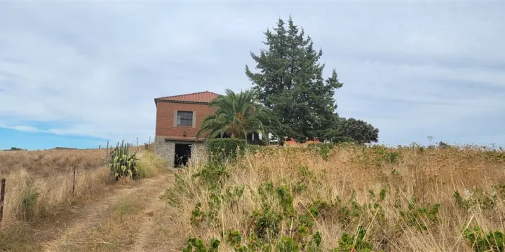 Espagne/EXtremadura/Vignoble de 1000 pieds/159.000€