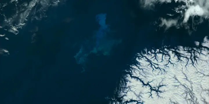 Thérapeute en philosophie existentielle