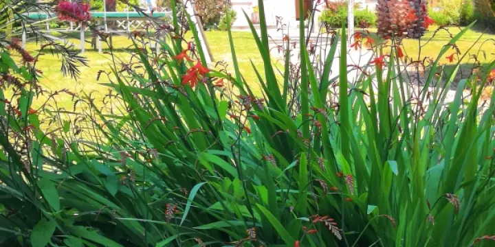 Bretagne,Fouesnant,Maison & Jardin à 600 M des Plages