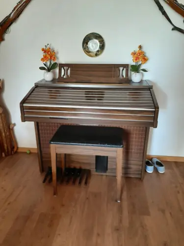 orgue électronique Kawai E100/150 2 claviers à Gland