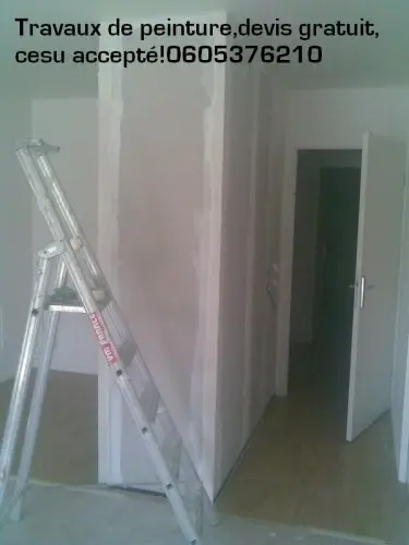  Travaux de peinture à Paris,cesu,devis