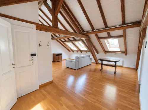 BEL APPARTEMENT DE CHARME DE 4 PIÈCES AVEC VUE SUR LE SALÈVE