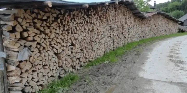 Bois de feu, foyard sec