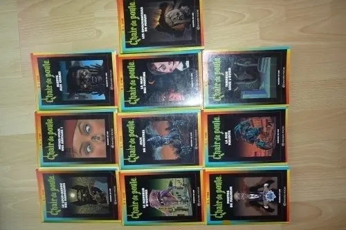 A vendre lot livres série Chair de poule à Neuchatel