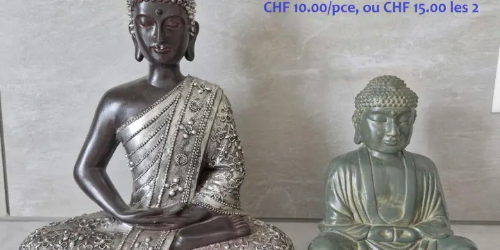 Statues de bouddhas et divinités + accessoires