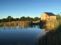 Image 6