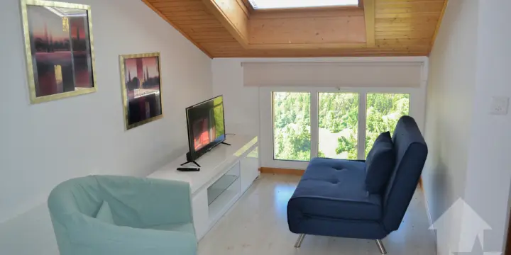 App. de 2,5 pièces de 42 m2 dans les combles avec vue sur les Alpes