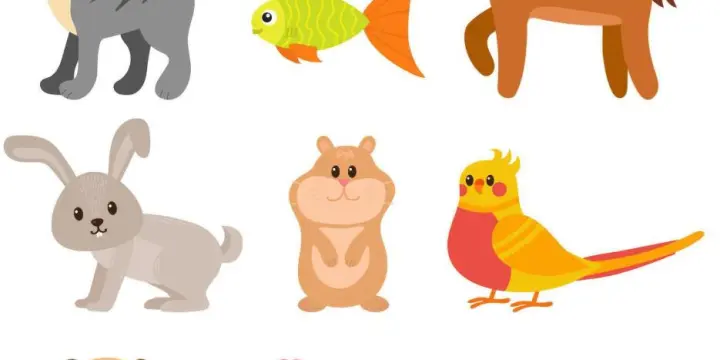 Animaux perdu où fuguer
