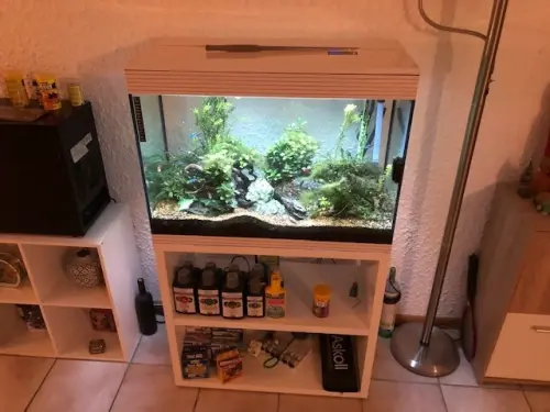 aquarium à savièse
