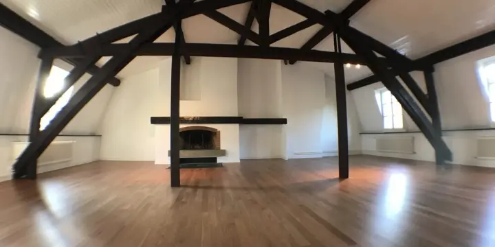 Attique magnifique, grand, atypique et rénové dans le Vieux-Carouge