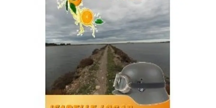 Il va pleuvoir des oranges à Noel