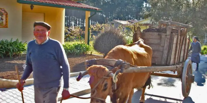 OMME d'origine portugais cherche femme pour le future