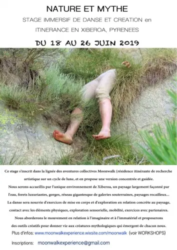 STAGE DE DANSE en ITINERANCE aux PYRENEES. Juin 18-26 à Chene Bourg