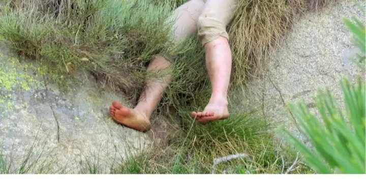 STAGE DE DANSE en ITINERANCE aux PYRENEES. Juin 18-26