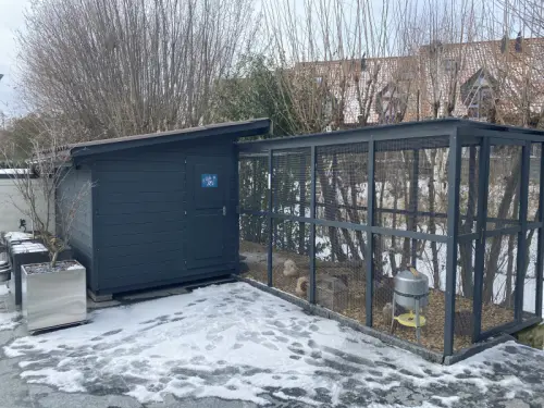 Poulailler + volière + poules à Bulle