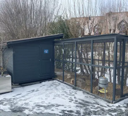 Poulailler + volière + poules