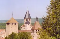 Image 4