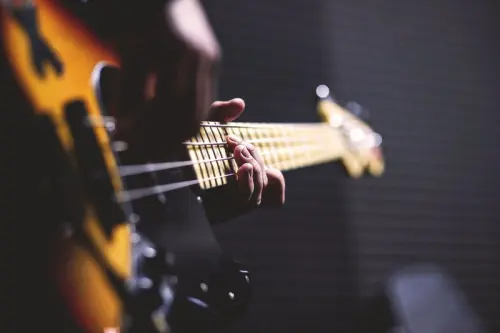 Groupe Rock Progressif mélodique cherche Bassiste à Gland