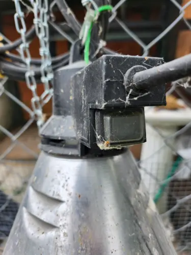 Lampe de couveuse à Estavayer-le-Lac