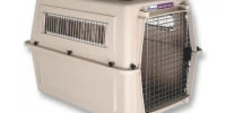 cage de chien a vendre