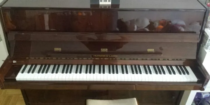 Delai 29.04 / Au plus offrant / Piano droit Hofmann & Czerny