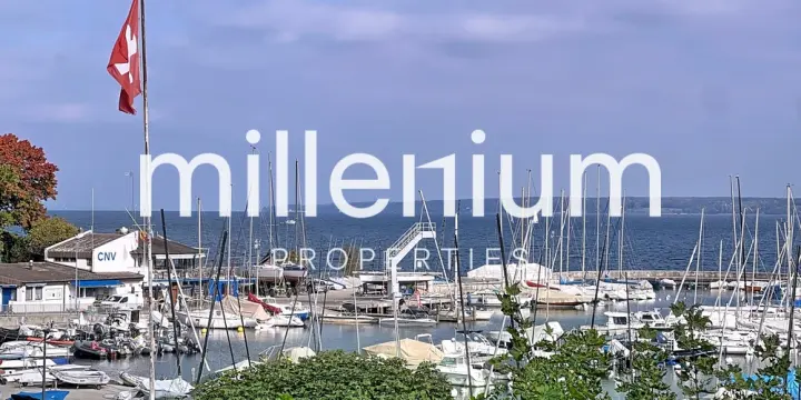 Magnifique villa avec jardin à deux pas du lac