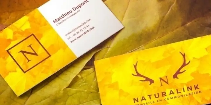 Création de vos cartes de visites