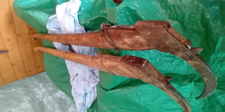 Vend 3 sapies + 1 hache pour bûcheronnage (Morand forge)