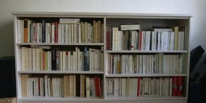 Bibliothèque en pin blanche