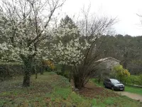 Image 8