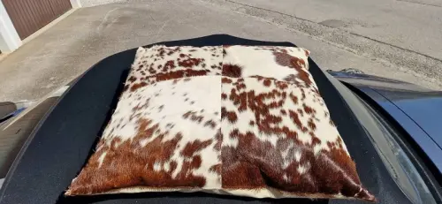 À vendre : Différents coussins (vache) à Vuisternens-en-Ogoz